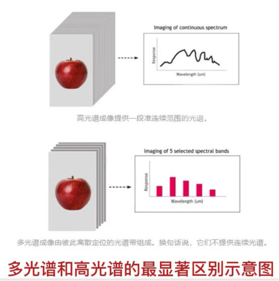 多光譜vs高光譜|波段數(shù)與信息量差異分析