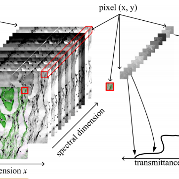 顯微成像技術(shù)之——高光譜成像